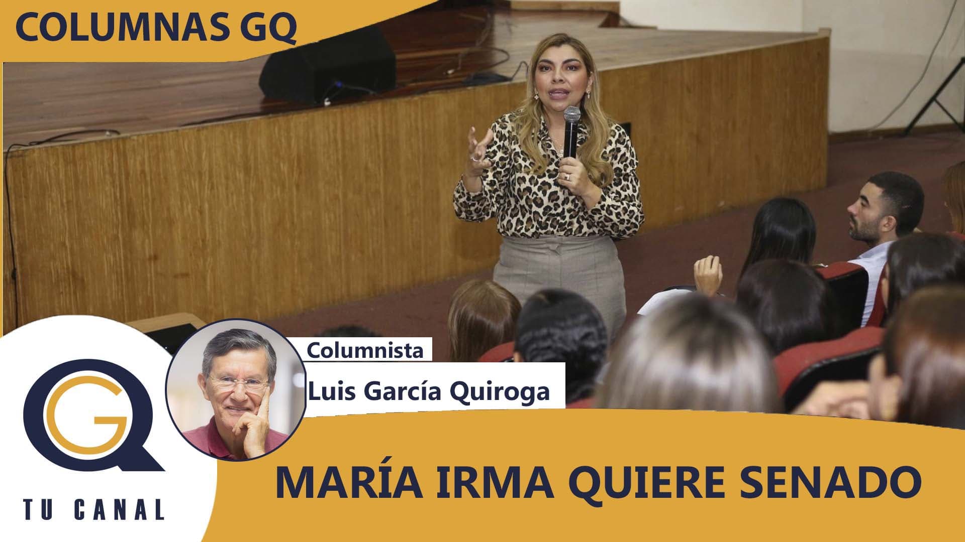 MARÍA IRMA QUIERE SENADO