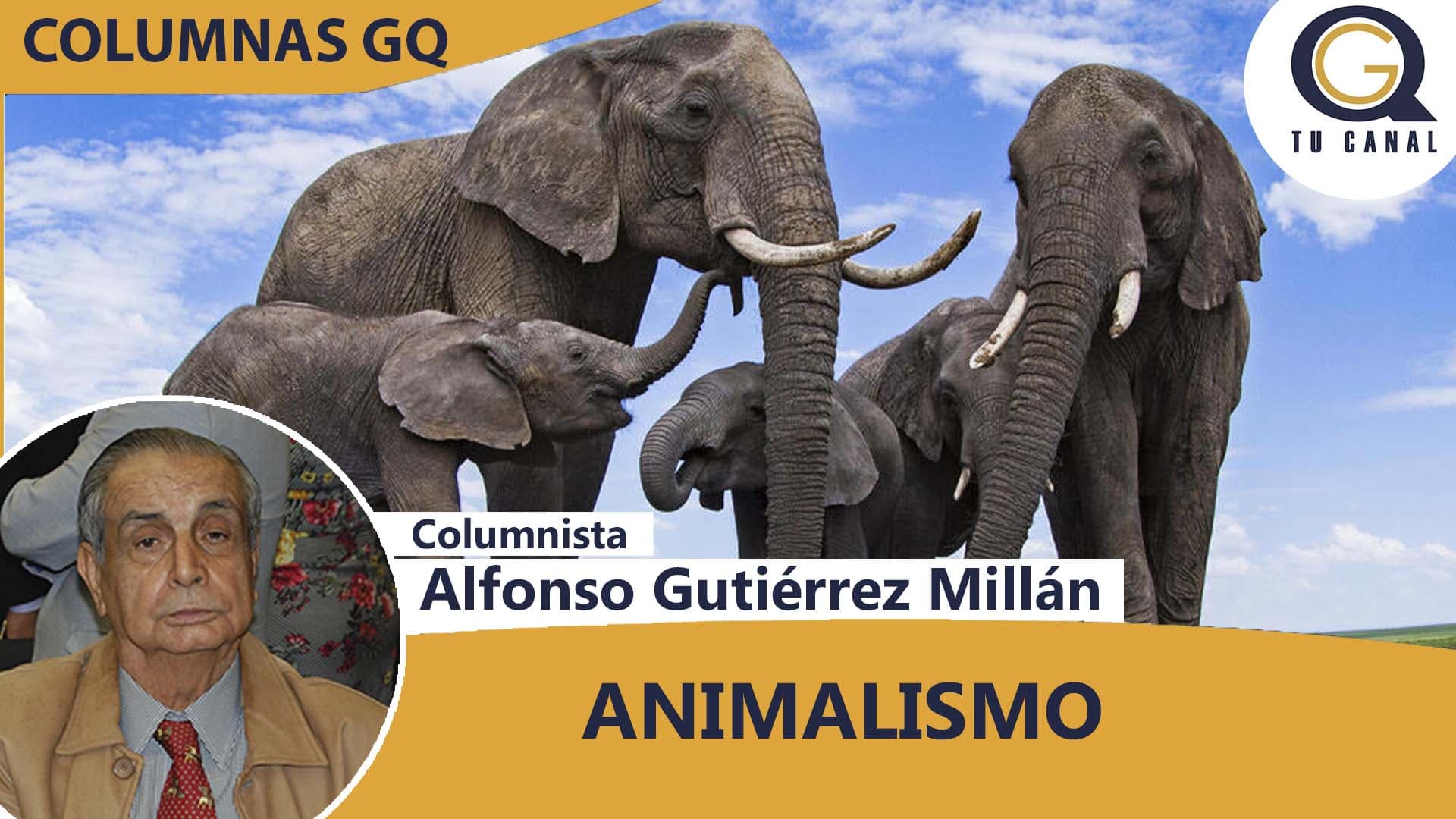 ANIMALISMO