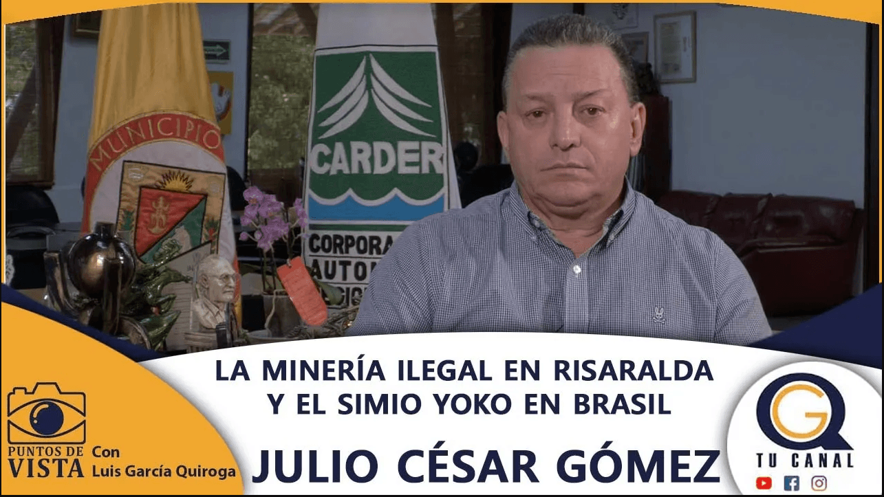 LA MINERÍA ILEGAL EN RISARALDA Y EL SIMIO YOKO EN BRASIL