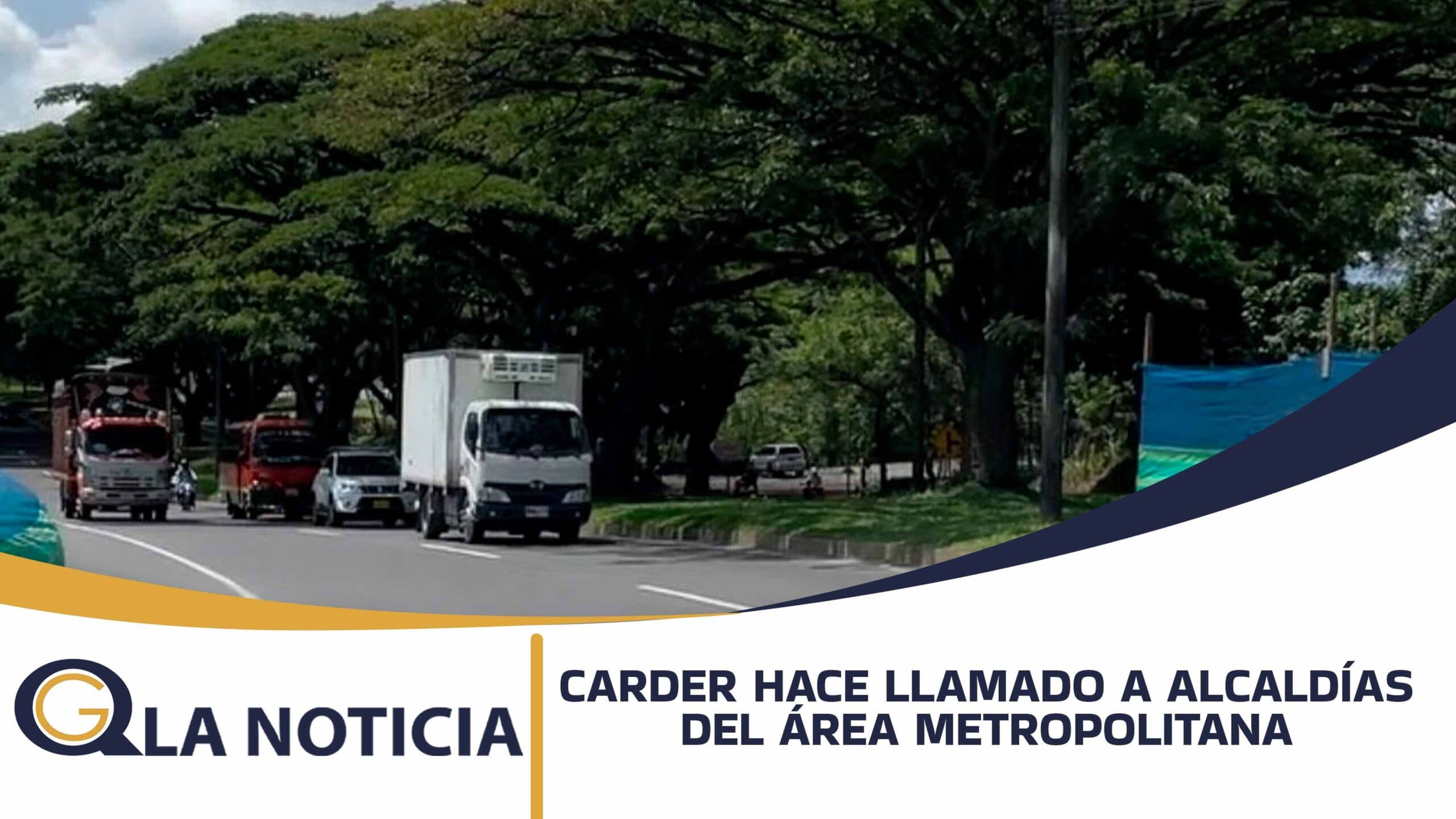 CARDER HACE LLAMADO A ALCALDÍAS DEL ÁREA METROPOLITANA PARA INTERVENIR ÁRBOLES QUE REPRESENTAN RIESGO PARA LA CIUDADANÍA