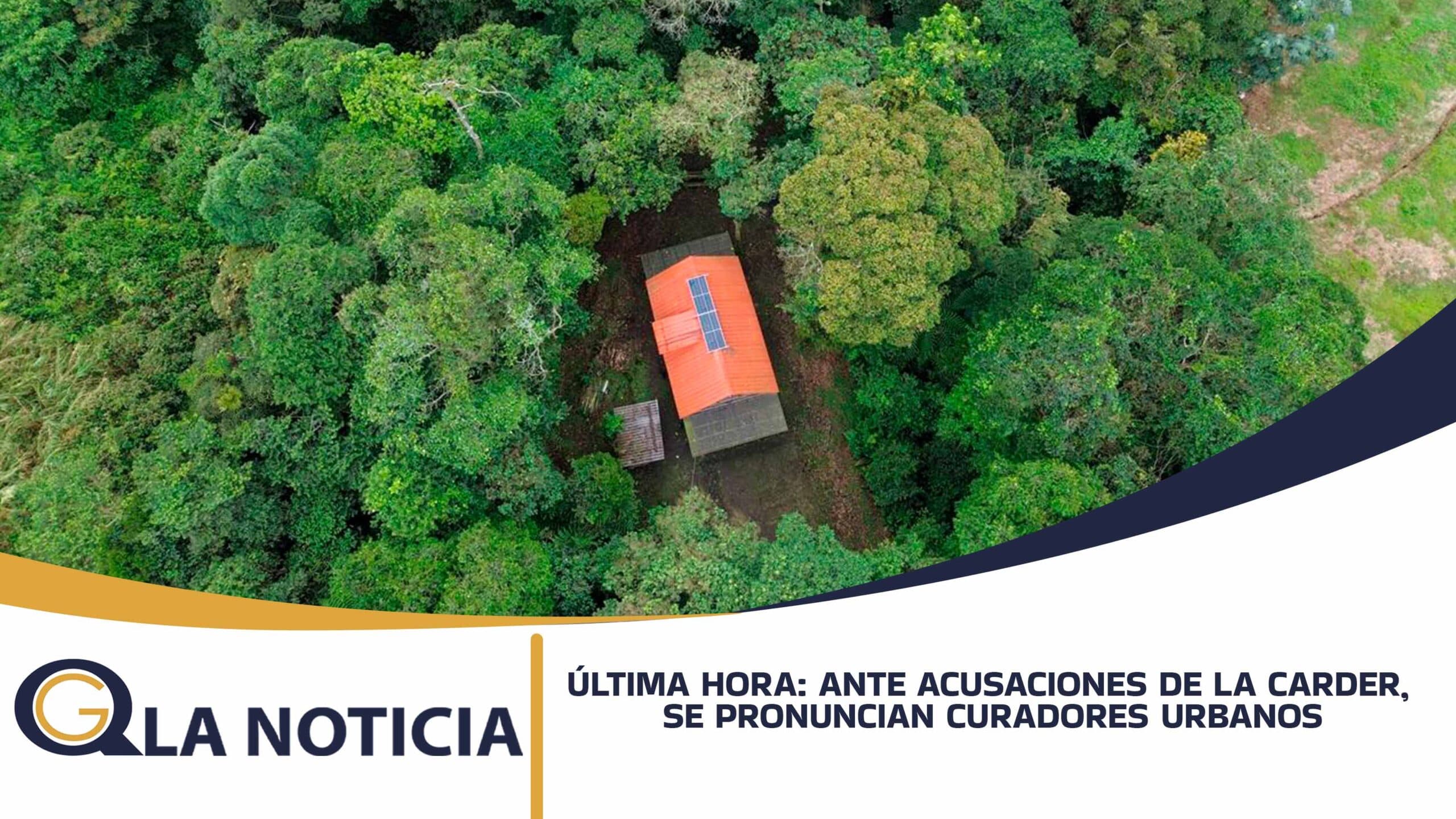 ÚLTIMA HORA: ANTE ACUSACIONES DE LA CARDER, SE PRONUNCIAN CURADORES URBANOS