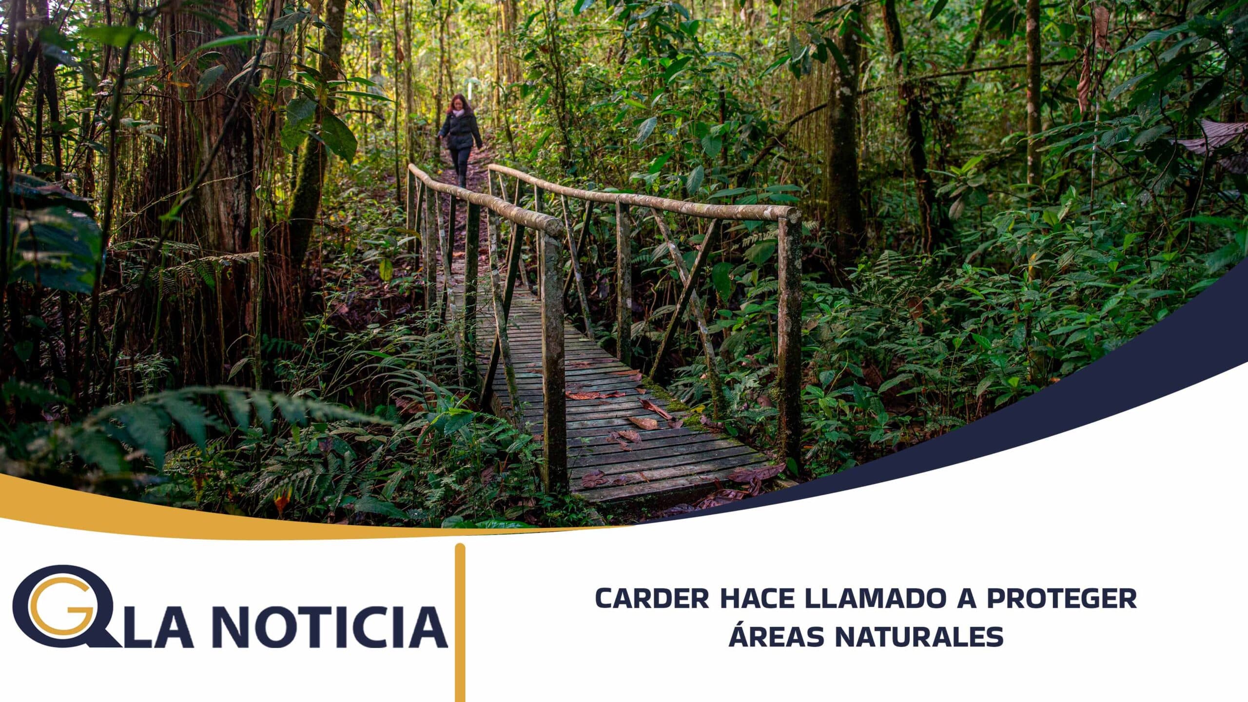 CARDER HACE LLAMADO A PROTEGER ÁREAS NATURALES Y RESTRINGE INGRESO DE ANIMALES DOMÉSTICOS Y EQUINOS