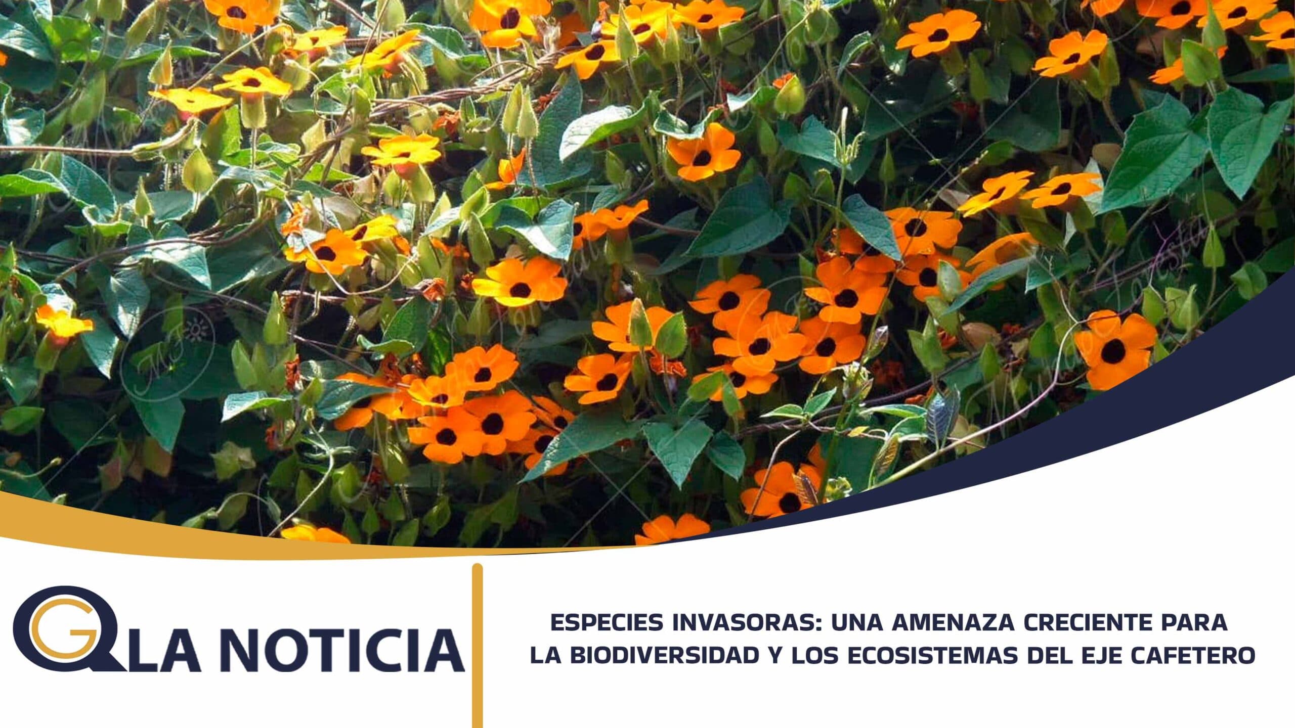 ESPECIES INVASORAS: UNA AMENAZA CRECIENTE PARA LA BIODIVERSIDAD Y LOS ECOSISTEMAS DEL EJE CAFETERO
