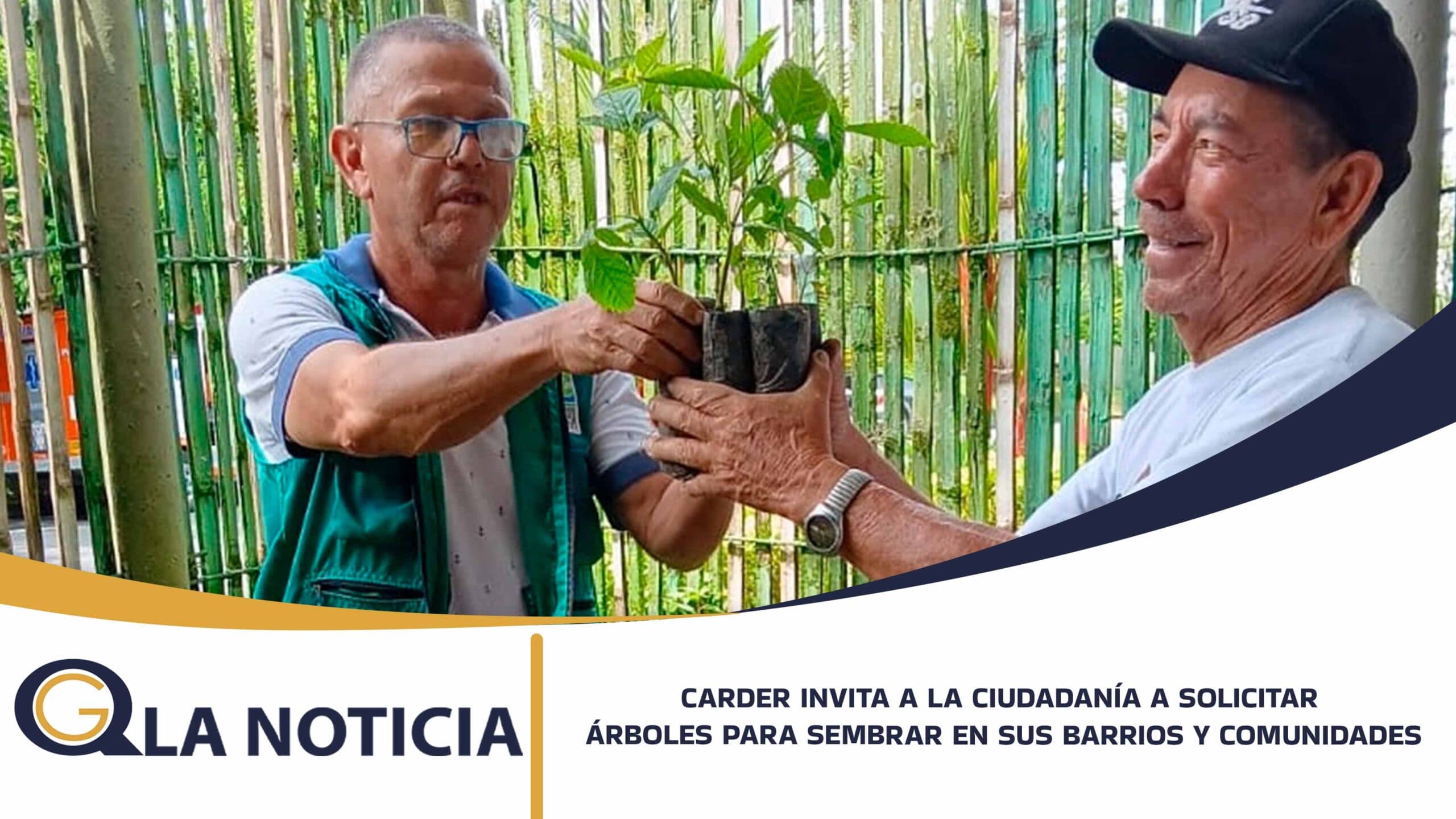 LA CARDER INVITA A LA CIUDADANÍA A SOLICITAR ÁRBOLES PARA SEMBRAR EN SUS BARRIOS Y COMUNIDADES
