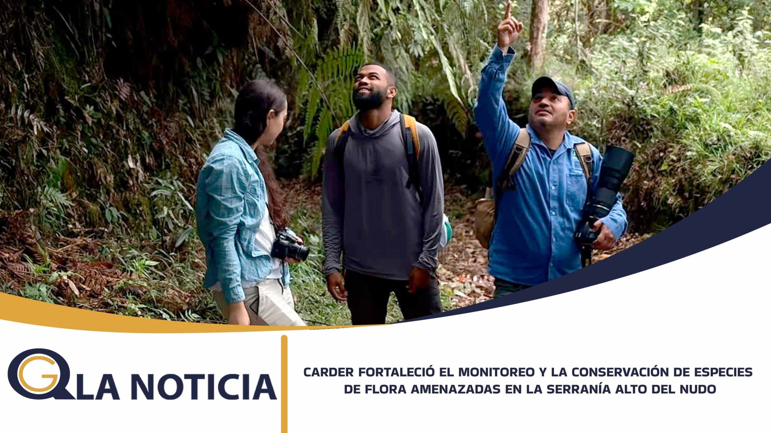CARDER FORTALECIÓ EL MONITOREO Y LA CONSERVACIÓN DE ESPECIES DE FLORA AMENAZADAS EN LA SERRANÍA ALTO DEL NUDO