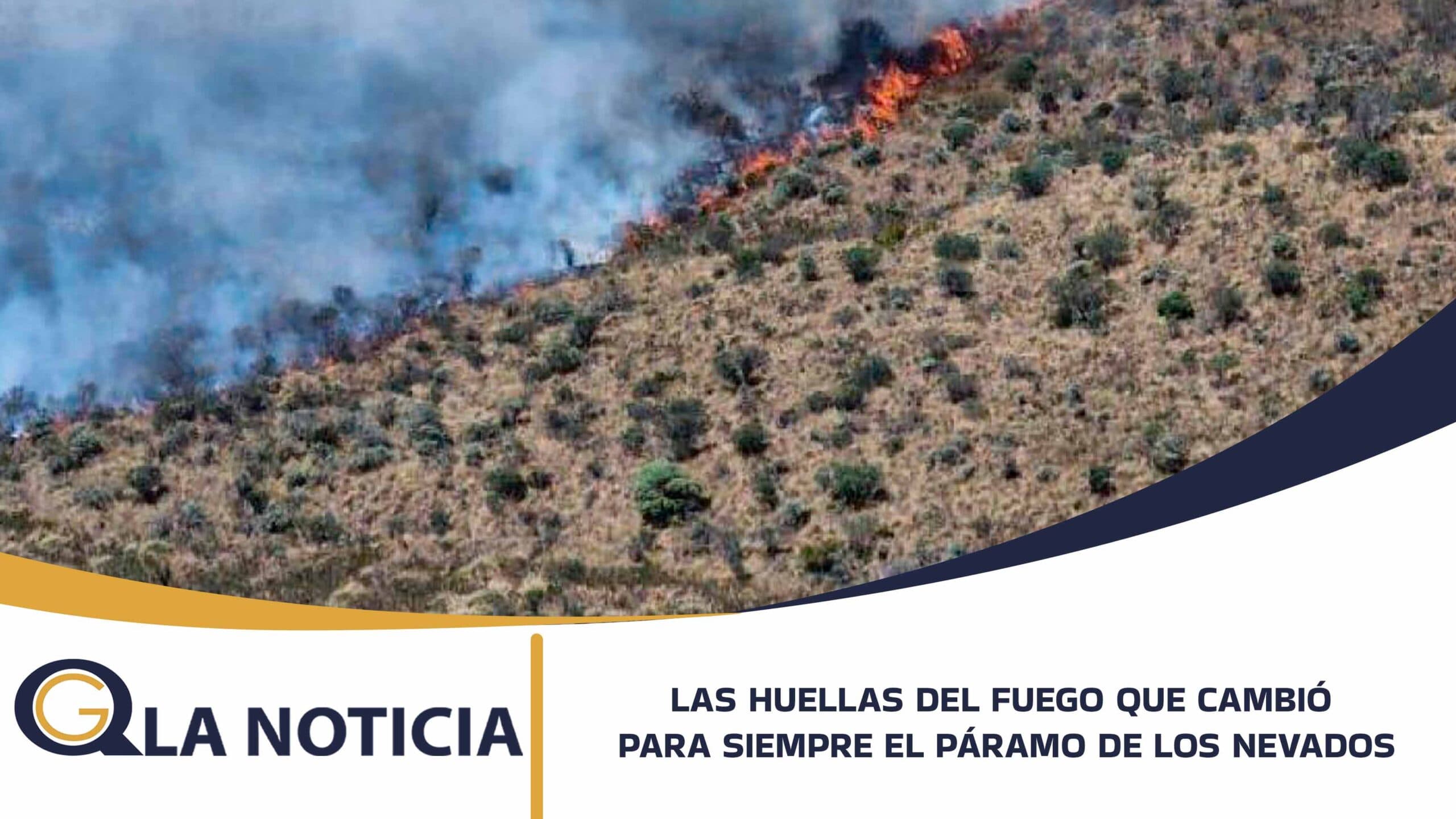 LAS HUELLAS DEL FUEGO: VEINTE AÑOS DEL INCENDIO QUE CAMBIÓ PARA SIEMPRE EL PÁRAMO DE LOS NEVADOS