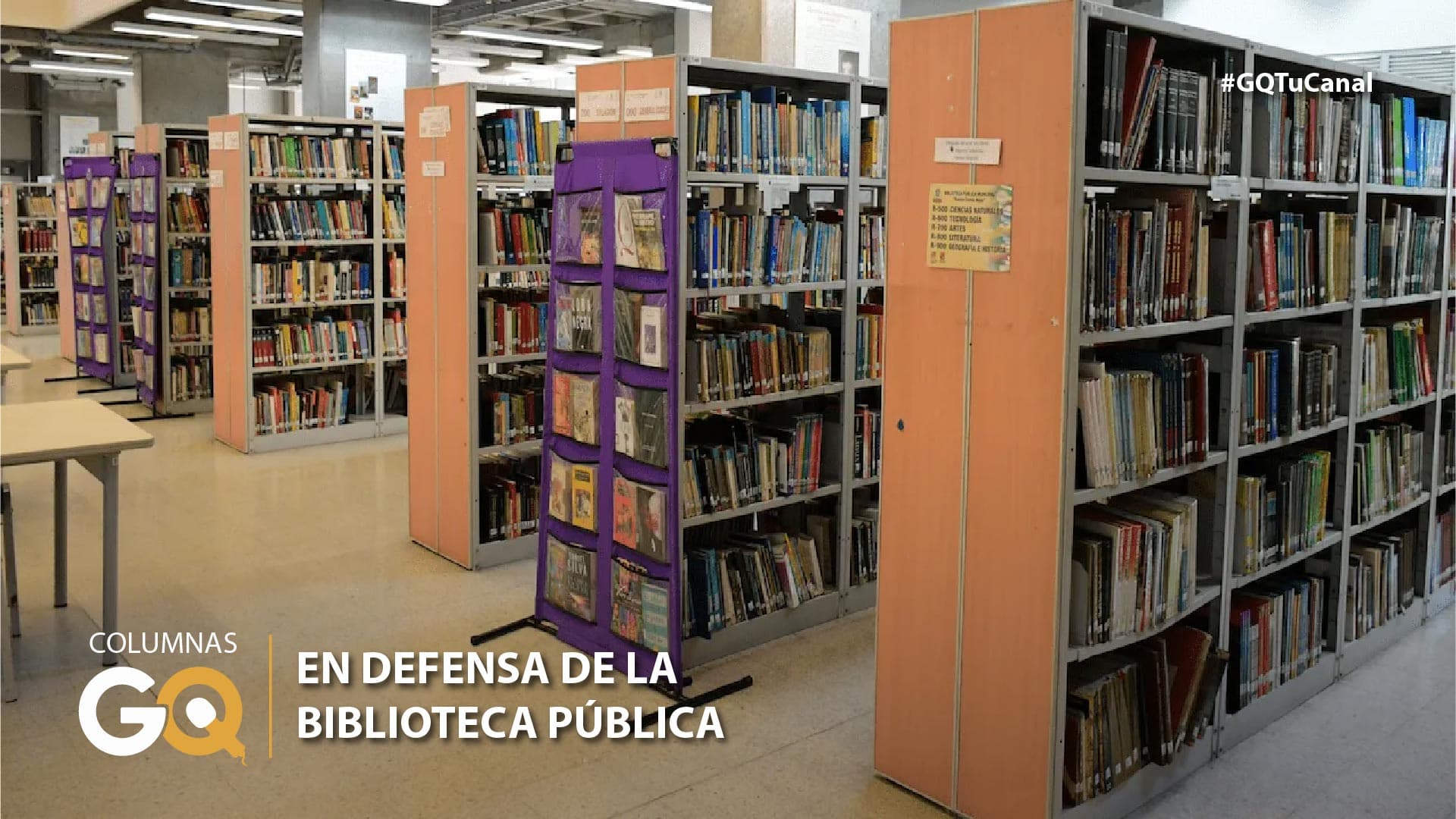 EN DEFENSA DE LA BIBLIOTECA PÚBLICA