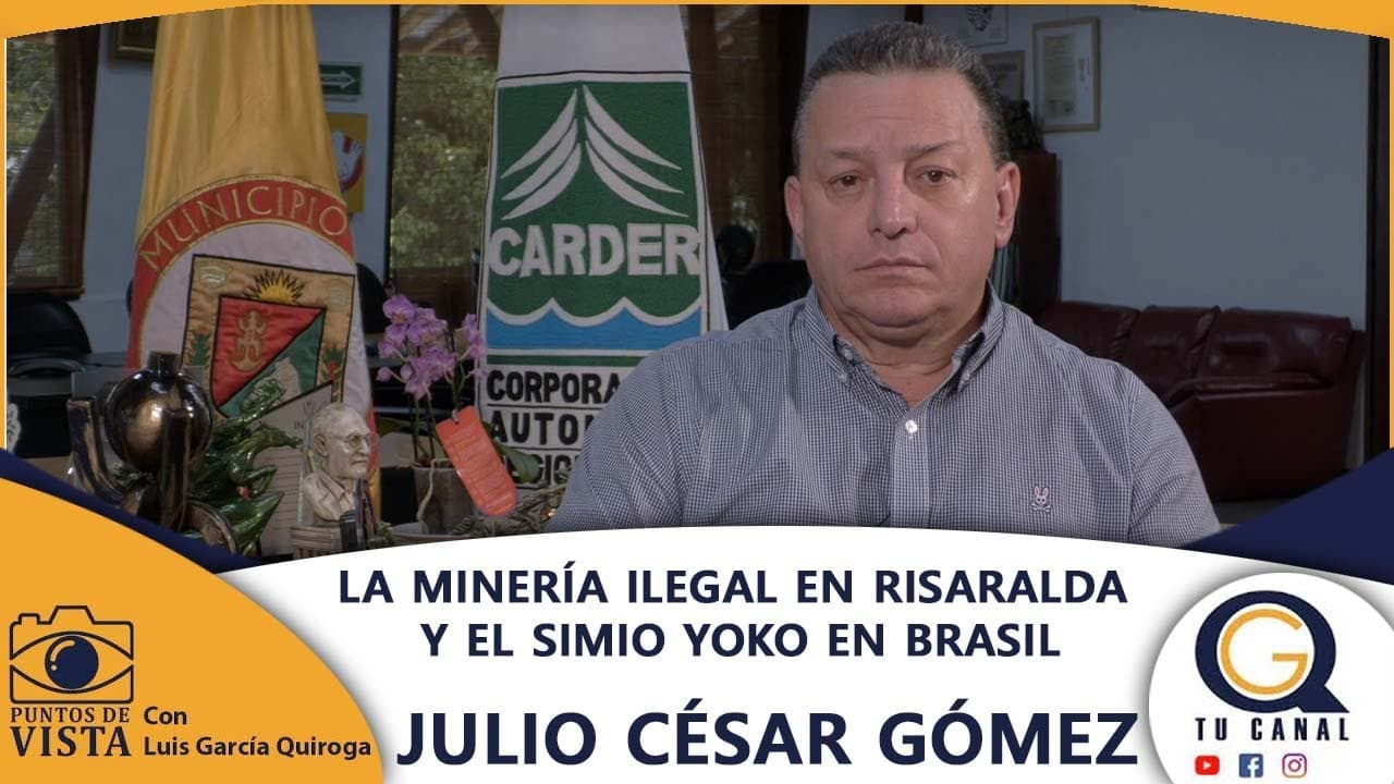 LA MINERÍA ILEGAL EN RISARALDA Y EL SIMIO YOKO EN BRASIL